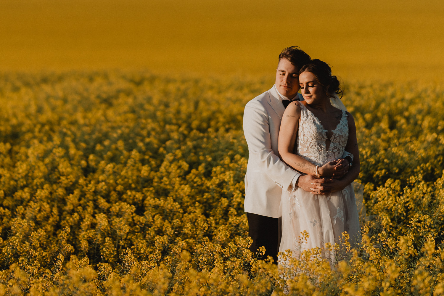 Canola fields south Australia wedding