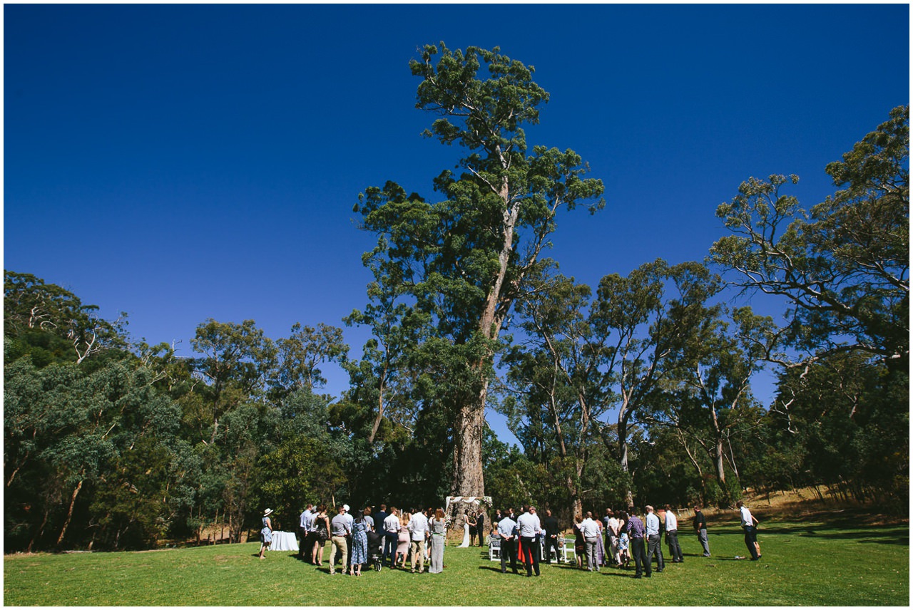 Belair National Park Wedding Back Yard Reception Meagan And