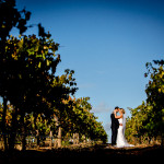 SC Pannell Winery wedding, Maclaren vale wedding photography