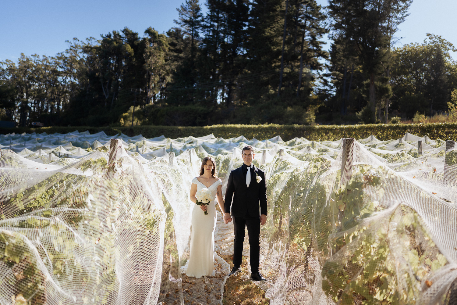 bride and groom among the vines at a Mount Lotfy House small wedding