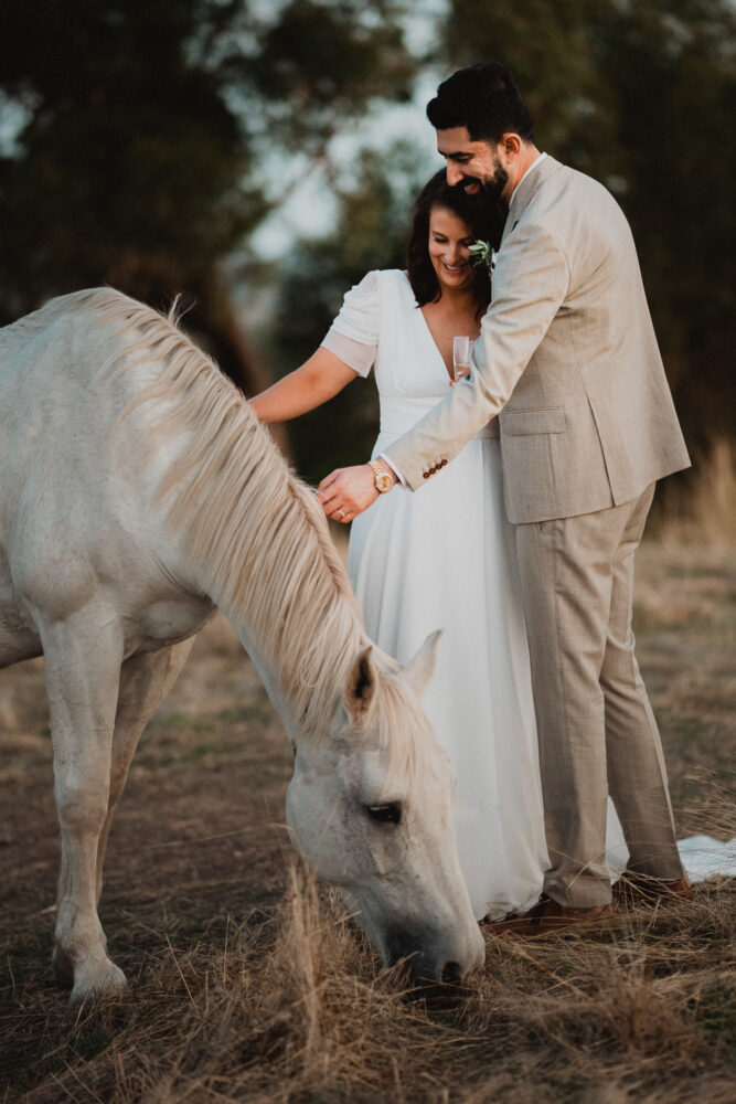 Bride and groom patting a horse at Templewood House